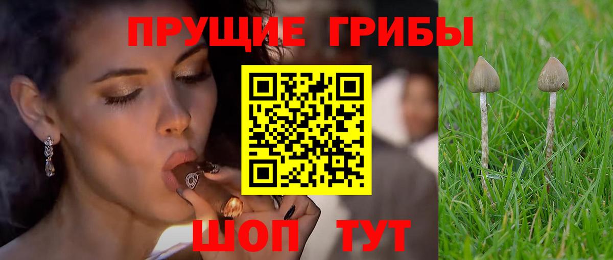 Галлюциногенные грибы ЛСД  Вход с VPN  Галлюциногенные грибы Cubensis  Мурманск 